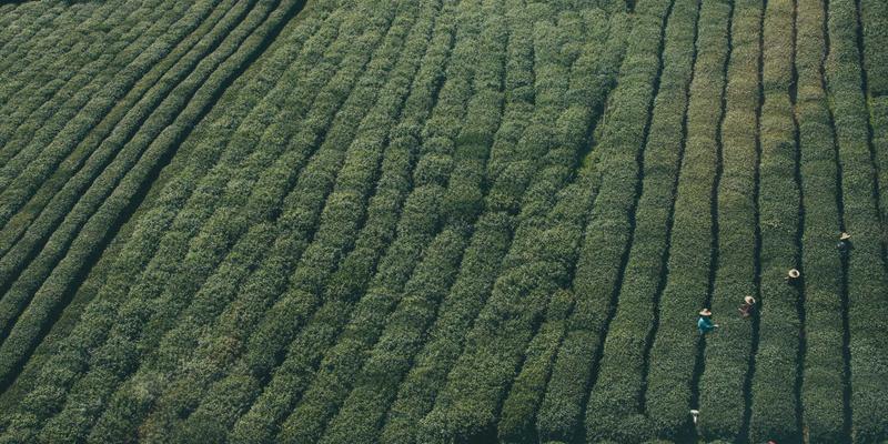 河北德隆盛21：深耕建筑材料领域，以水泥与装饰材料构筑品质未来