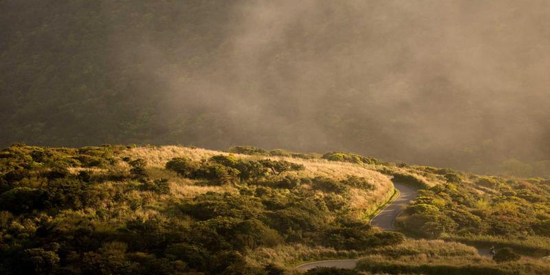 河北德隆盛81：一站式装修施工与建材供应，品质水泥助力工程建设