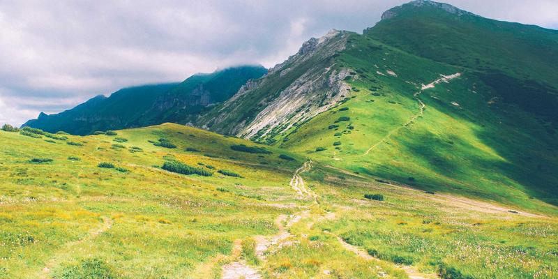 河北德隆盛94：装饰工程与建材供应一体化解决方案的领航者