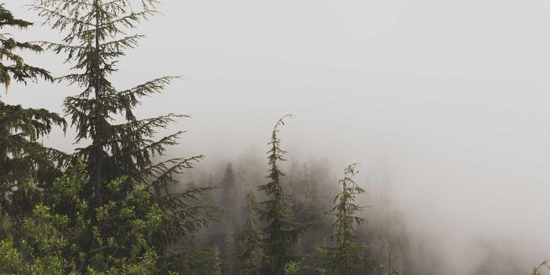 河北德隆盛与建筑设计院协同设计案例：建材供应如何赋能装饰工程与装修施工