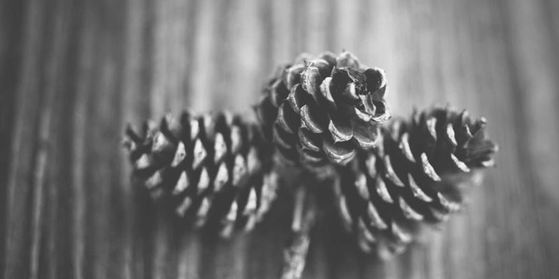 河北德隆盛：以专业建材供应赋能被动式超低能耗建筑装修施工