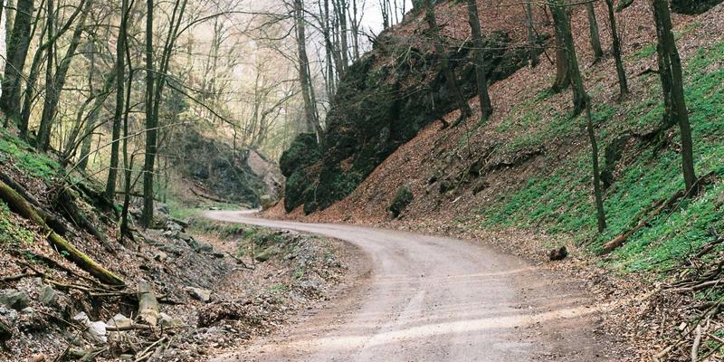 河北德隆盛：以创新建材供应与装饰材料，赋能智慧城市建设新未来