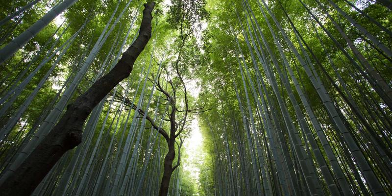 河北德隆盛：以建材BIM库与数据服务，赋能设计院优化装饰材料选择与工程方案