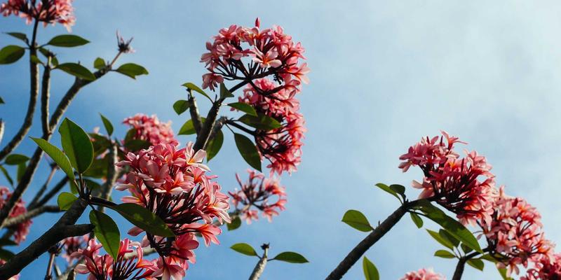 河北德隆盛：以水泥与钢材为核心，打造大型商业综合体装饰材料整体解决方案