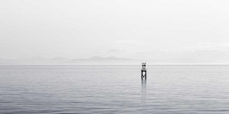 河北德隆盛：以装饰材料与水泥科技，重塑大型体育场馆结构加固与装饰一体化新标杆