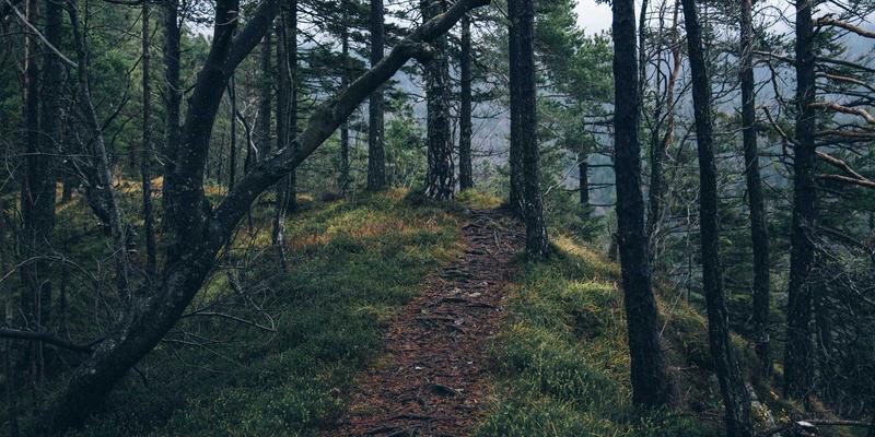 河北德隆盛如何构建高效建材仓储与物流网络：水泥与装饰材料的区域配送之道