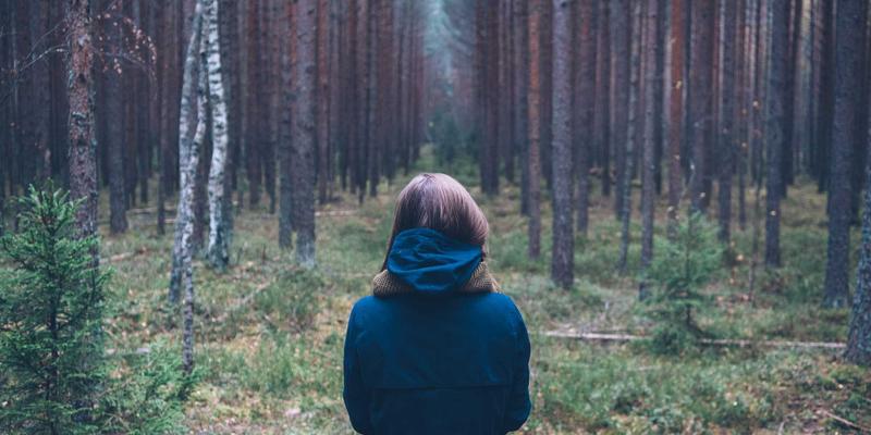 河北德隆盛建筑防水体系全解析：从地下室到屋面的系统性防渗漏方案