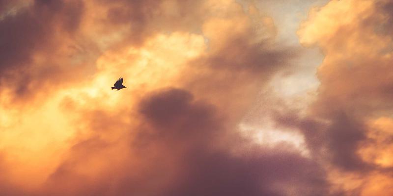 河北德隆盛绿色建筑解决方案提供商深度评价：装饰工程与建材供应的创新实践