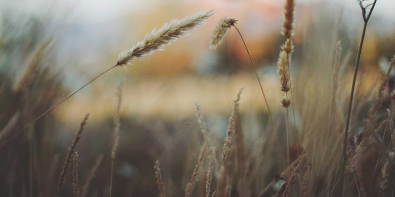 河北德隆盛：老旧小区改造中的建筑材料应用与专业施工经验解析