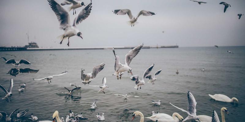 钢材与水泥的艺术：河北德隆盛如何打造大型交通枢纽导向标识系统